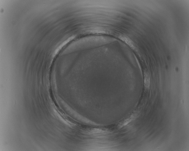 X0000060790390200512082129