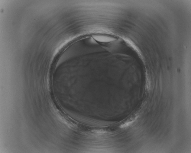 X0000060790391200512082129