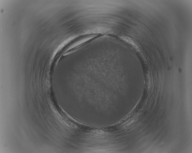 X0000060790392200512082129