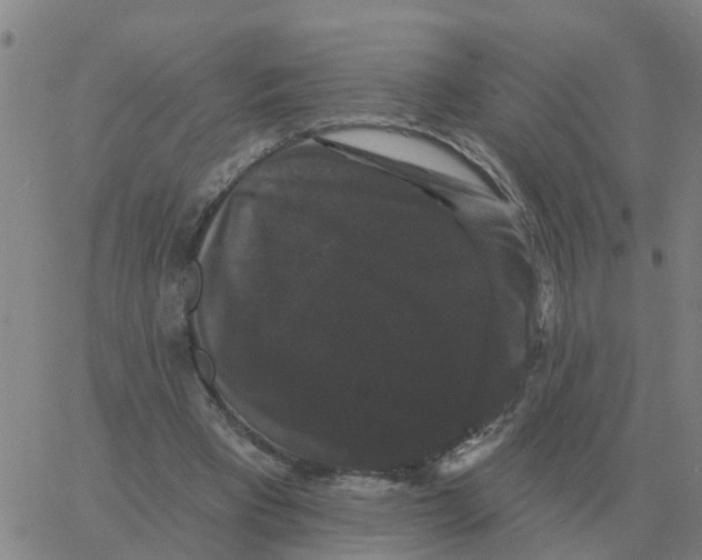 X0000060790393200512082129