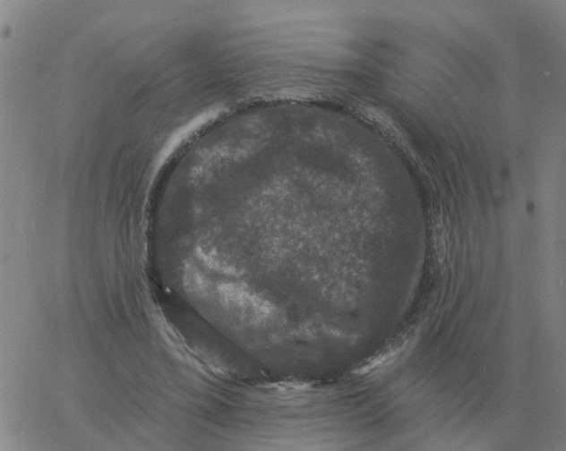 X0000060790395200512082129