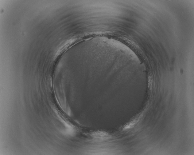 X0000060790397200512082129