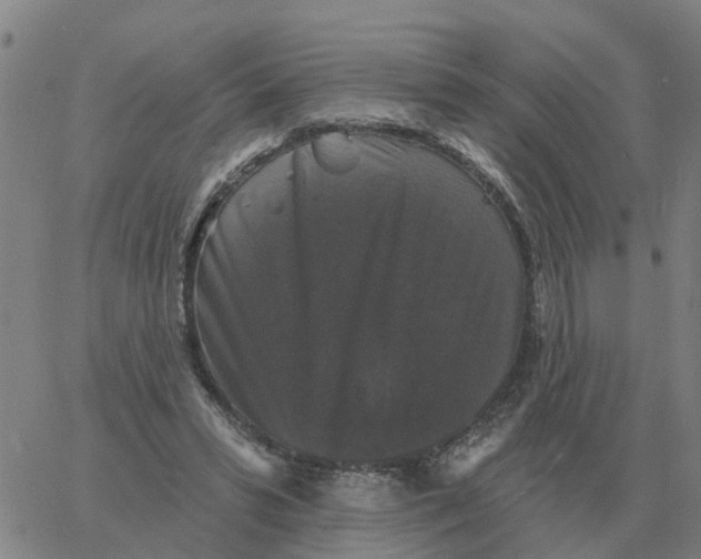 X0000060790399200512082129