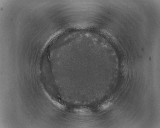 X0000060790400200512082129