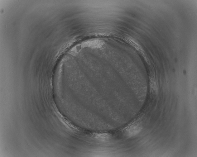 X0000060790401200512082129