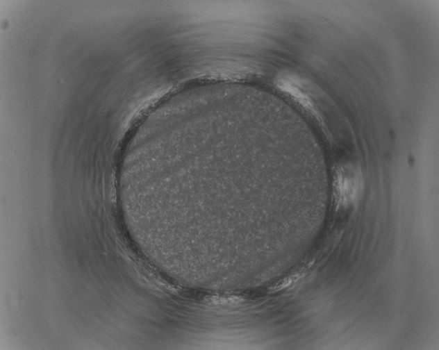 X0000060790403200512082129