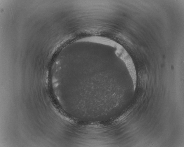 X0000060790404200512082129