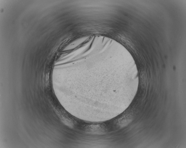 X0000060790406200512082129