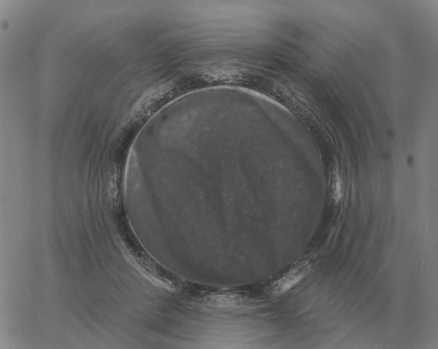 X0000060790408200512082129