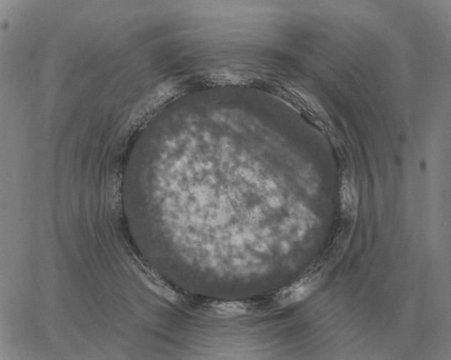 X0000060790409200512082129