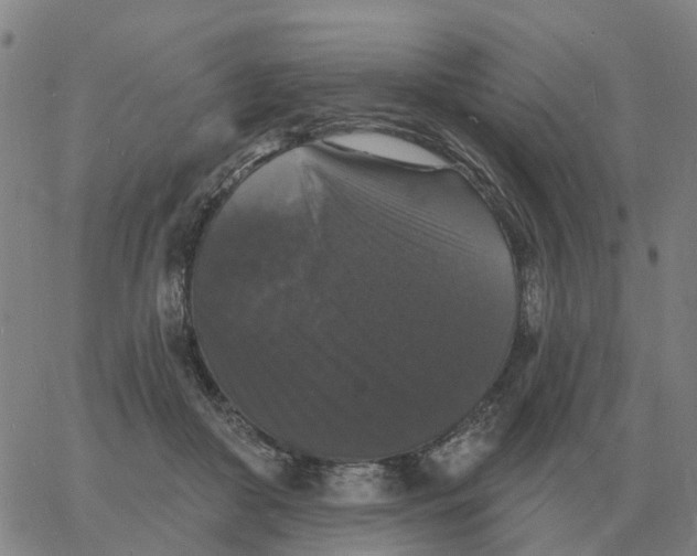 X0000060790410200512082129