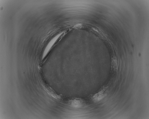 X0000060790412200512082129