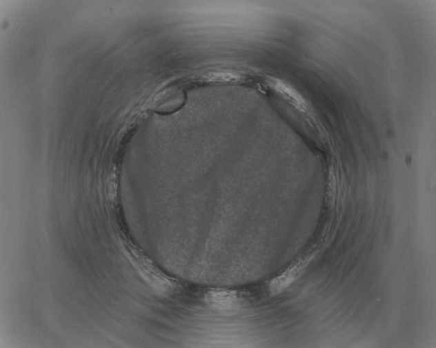 X0000060790413200512082129