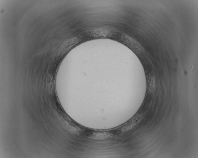 X0000060790414200512082129