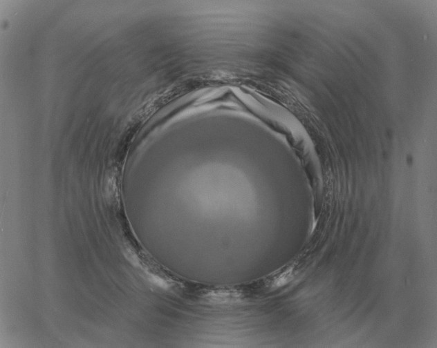 X0000060790415200512082129