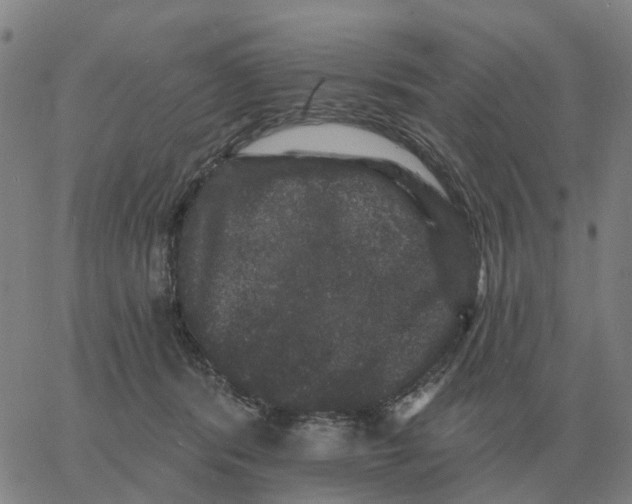 X0000060790416200512082129