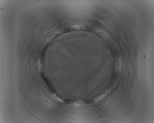 X0000060790420200512082129