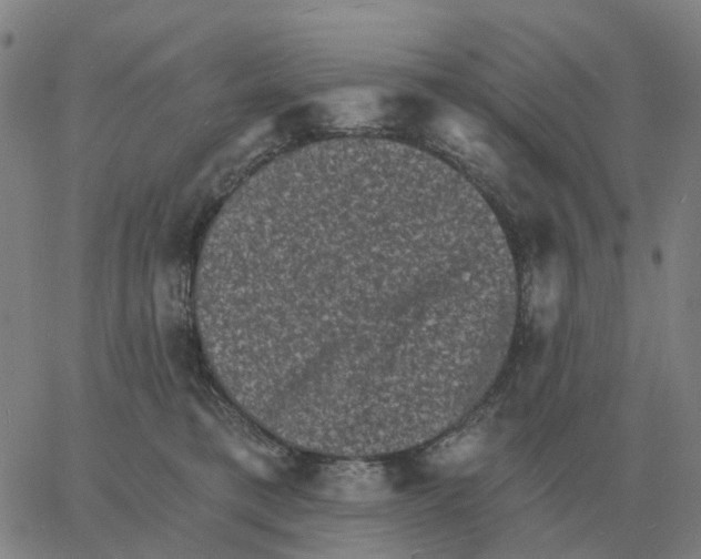 X0000060790421200512082129