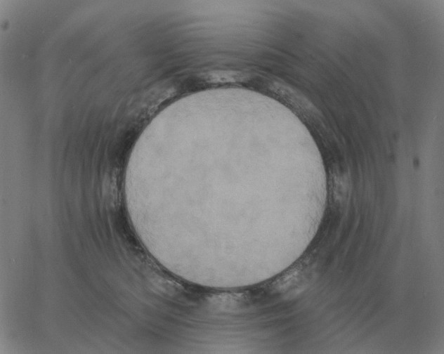 X0000060790422200512082129