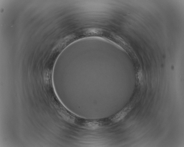 X0000060790423200512082129