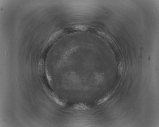 X0000060790424200512082129