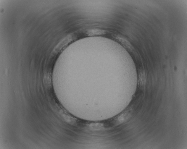 X0000060790426200512082129