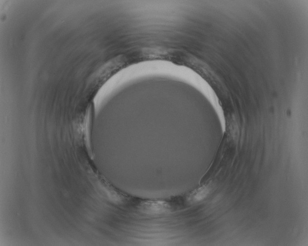 X0000060790427200512082129