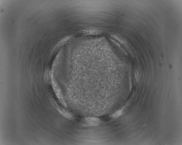 X0000060790429200512082129