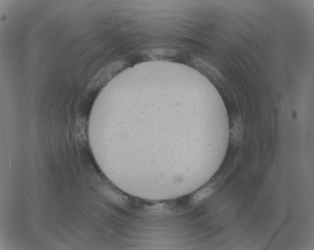 X0000060790430200512082129