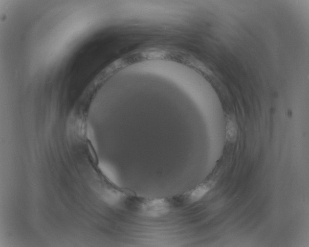 X0000060790431200512082129