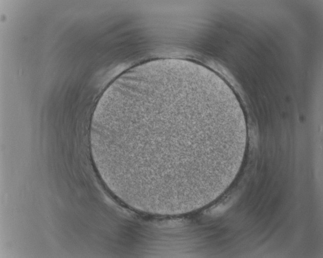 X0000060790433200512082128