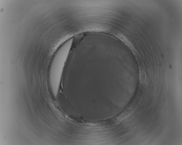 X0000060790434200512082128