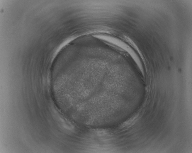 X0000060790435200512082128