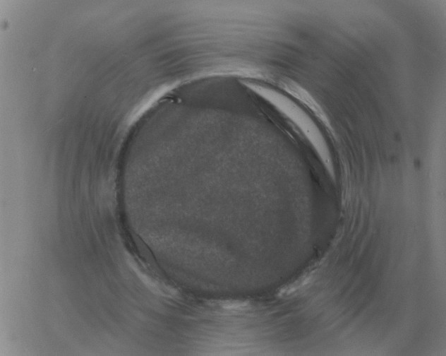 X0000060790436200512082128