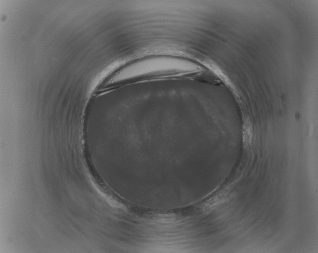 X0000060790438200512082128