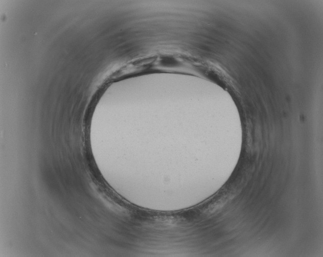 X0000060790439200512082128