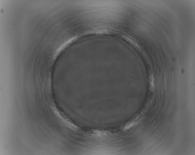 X0000060790442200512082128