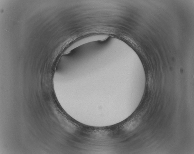 X0000060790445200512082128