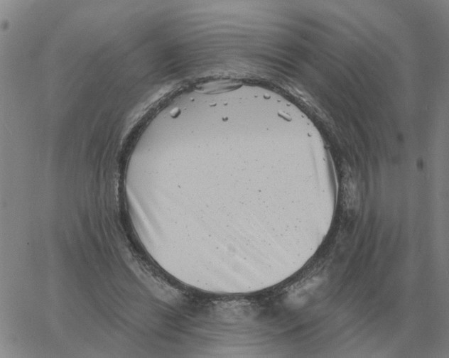 X0000060790446200512082128