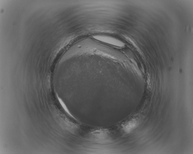 X0000060790447200512082128