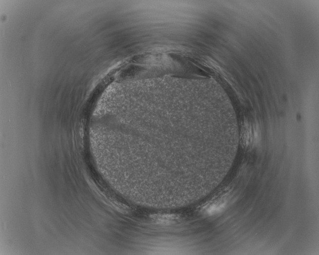 X0000060790448200512082128