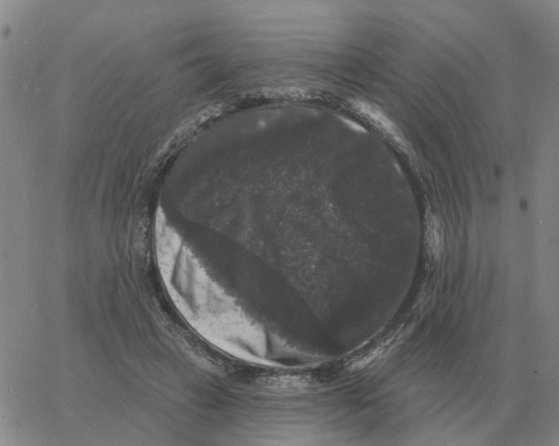 X0000060790449200512082128