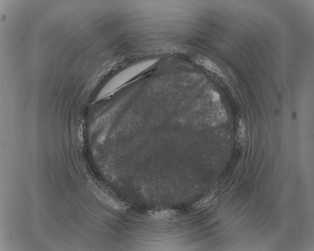 X0000060790452200512082128