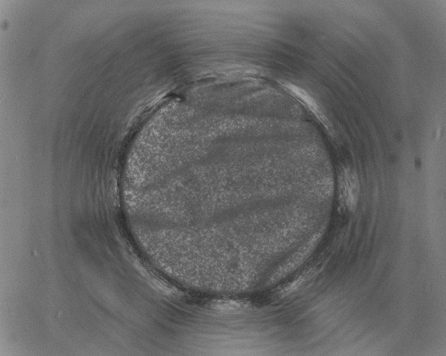 X0000060790453200512082128