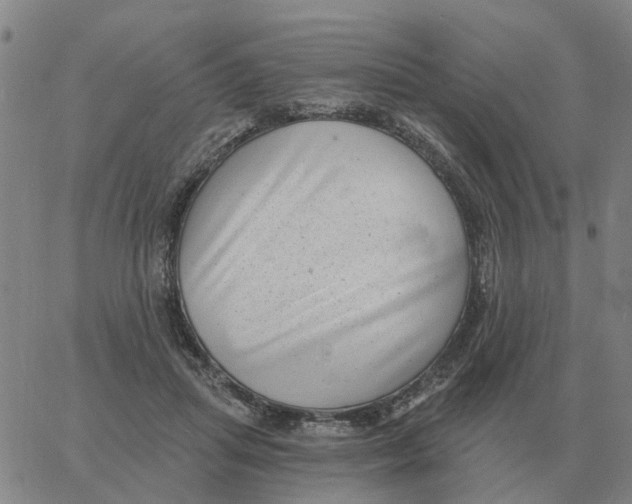 X0000060790455200512082128