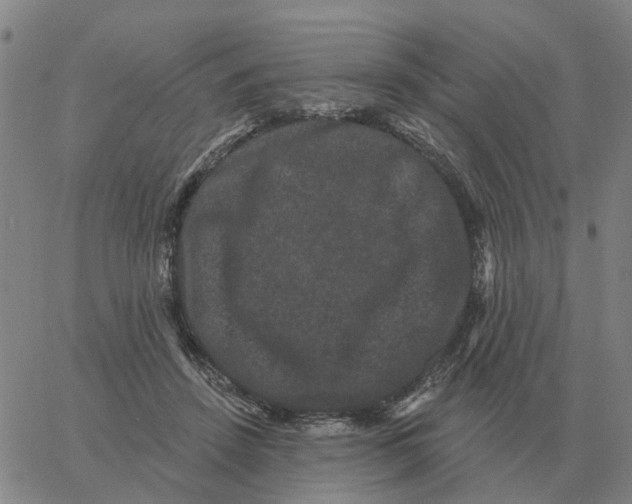 X0000060790456200512082128