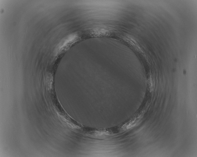 X0000060790458200512082128