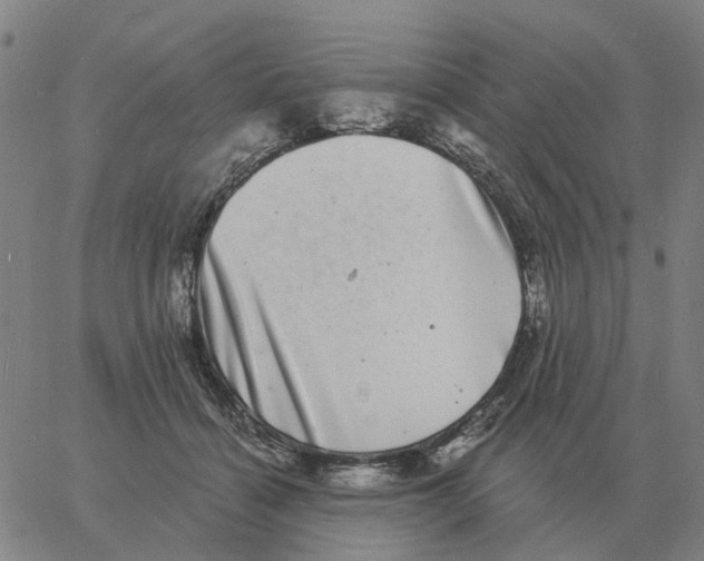 X0000060790460200512082128