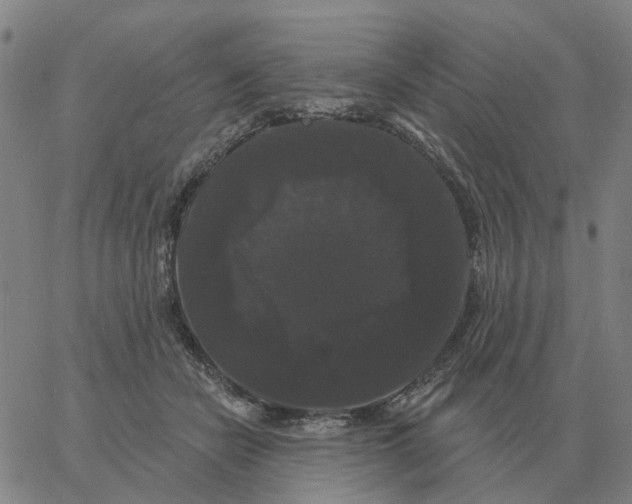 X0000060790462200512082128