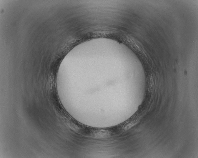 X0000060790463200512082128